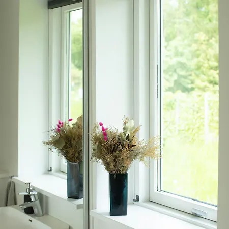 Calm In Modern House Near Water *